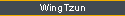 Explosiv Wing Tsun